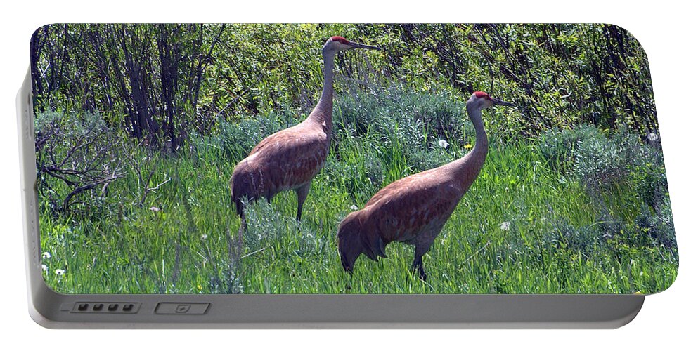 Sandhill Crane Portable Battery Charger featuring the photograph Two of a Kind by Dorrene BrownButterfield
