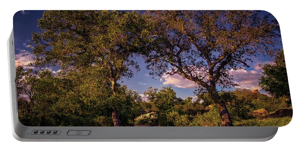 Oak Trees Portable Battery Charger featuring the photograph Two Old Oak Trees At Sunset by Endre Balogh