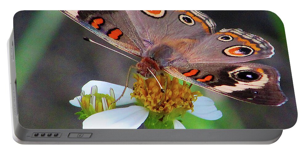 Butterfly Portable Battery Charger featuring the photograph Uncommon Buckeye by Michael Allard