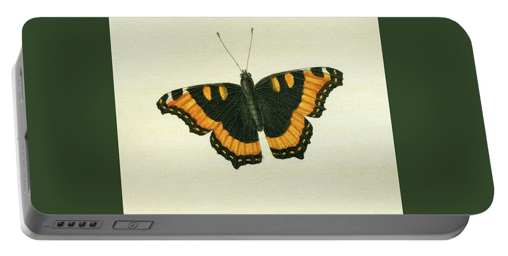 Entomology Portable Battery Charger featuring the mixed media Vanessa furcillata detail by W W Wood