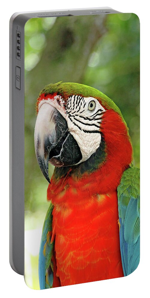 Macaw Portable Battery Charger featuring the photograph Vibrant Macaw by Debbie Oppermann