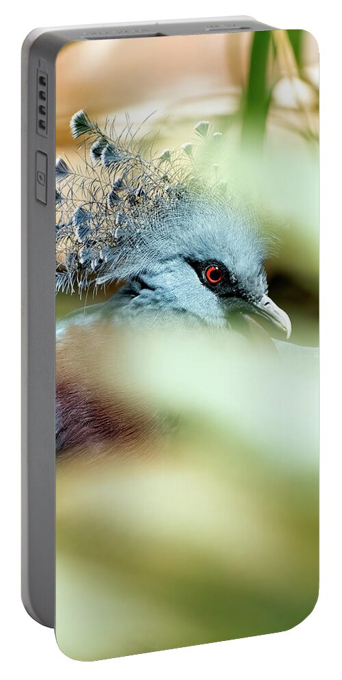 Pigeon Portable Battery Charger featuring the photograph Victoria Crowned Pigeon by Kuni Photography