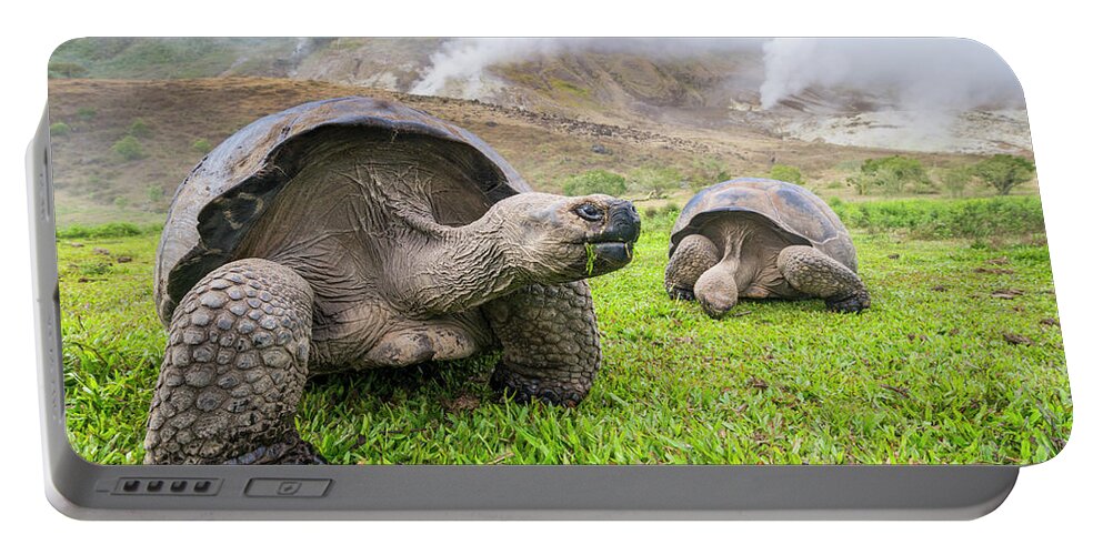 Animal Portable Battery Charger featuring the photograph Volcan Alcedo Tortoises And Fumaroles by Tui De Roy