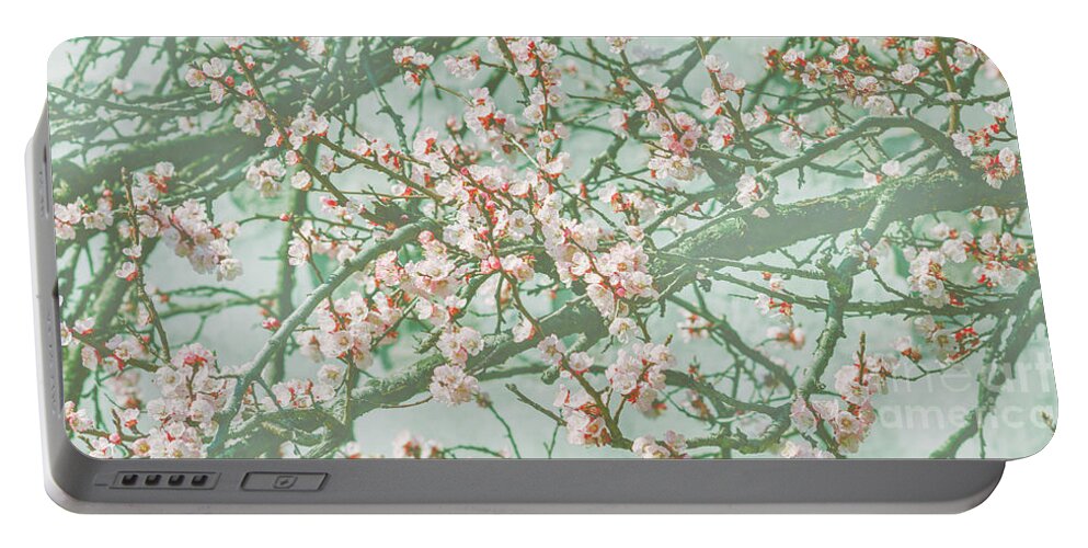 Cherry Portable Battery Charger featuring the photograph Wallpaper with cherry blossom branch in japanese garden in sprin by Jelena Jovanovic