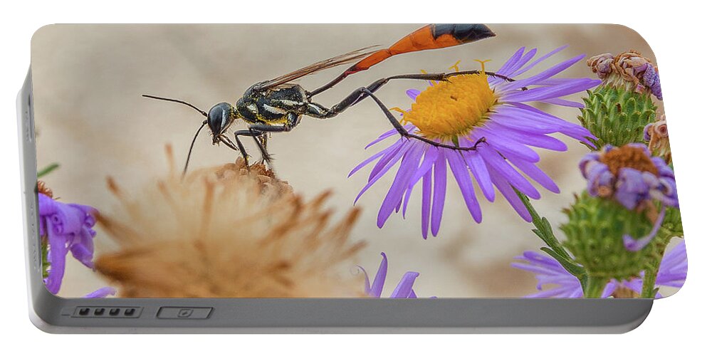 Wasp Portable Battery Charger featuring the photograph Wasp at White Sands by Adam Reinhart