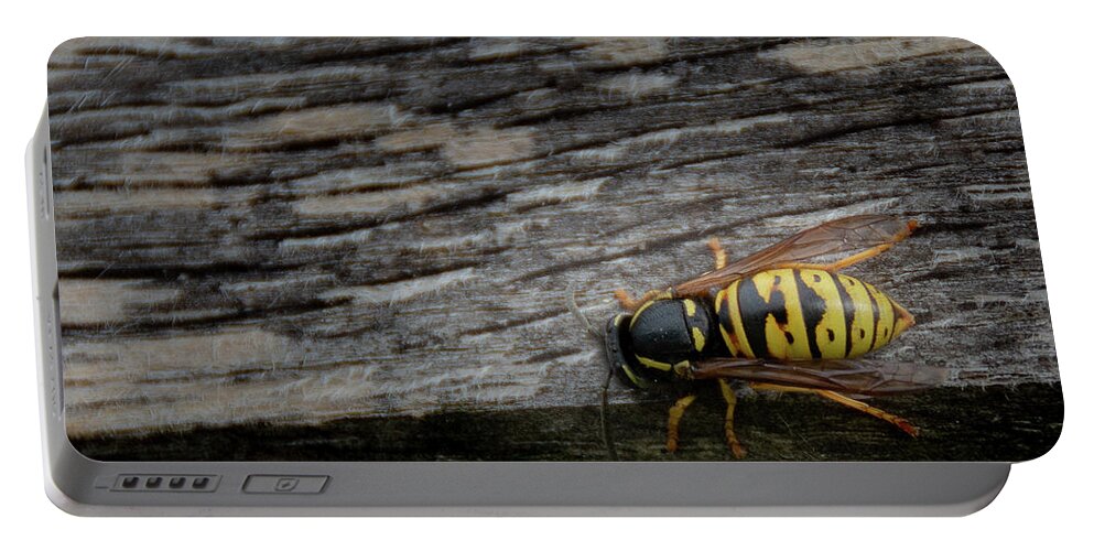 Abdomen Portable Battery Charger featuring the photograph Wasp on wood by Scott Lyons