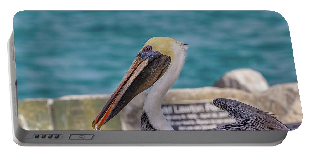 Pelican Portable Battery Charger featuring the photograph Watching by Les Greenwood