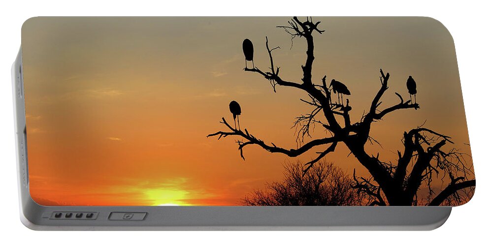  Portable Battery Charger featuring the photograph Watching the Sunset by Eric Pengelly