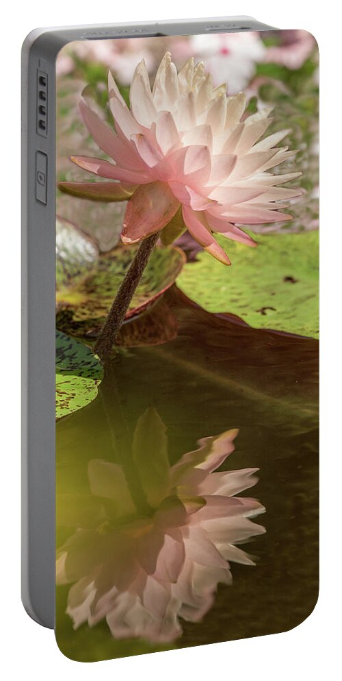 Flower Portable Battery Charger featuring the photograph Water Lily #2 by Minnie Gallman