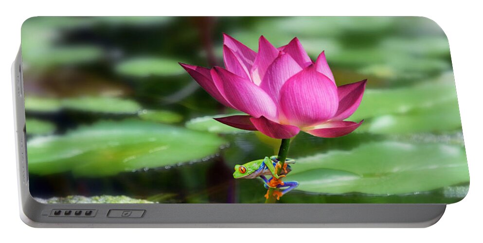 Red Eye Tree Frog Portable Battery Charger featuring the mixed media Water Lily and Little Frog by Morag Bates