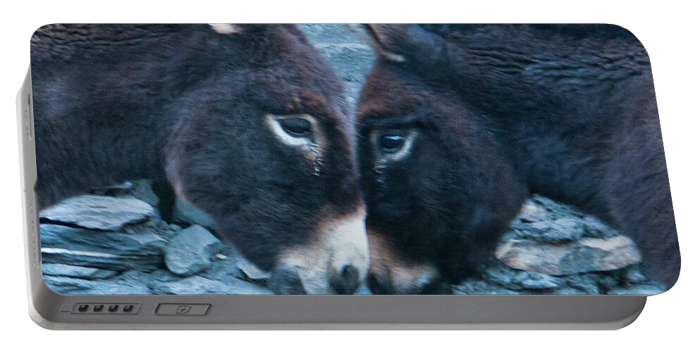 Burro Portable Battery Charger featuring the photograph Eye To Eye, Nose To Nose, Heart To Heart by Leslie Struxness