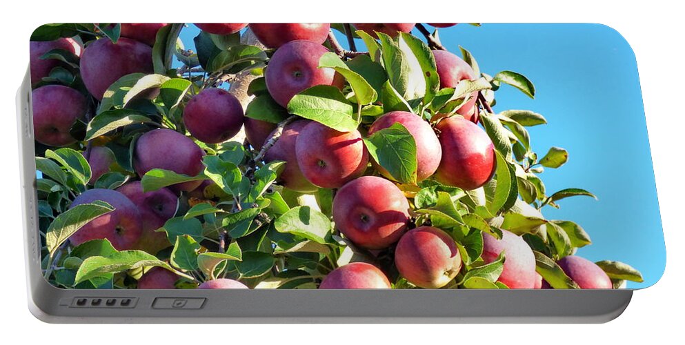 Apple Portable Battery Charger featuring the photograph Welcome Apple Pickers by Lyuba Filatova