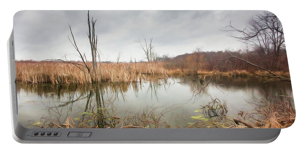 Wetlands Portable Battery Charger featuring the photograph Wetlands on a Dreary Day by Tom Mc Nemar