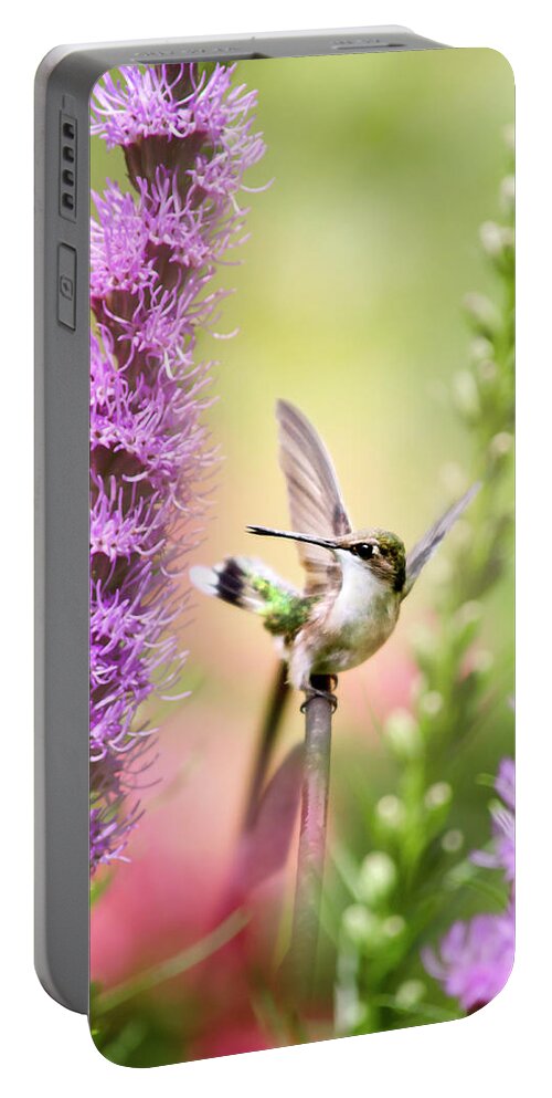 Hummingbird Portable Battery Charger featuring the photograph Whimsical Hummingbird by Christina Rollo