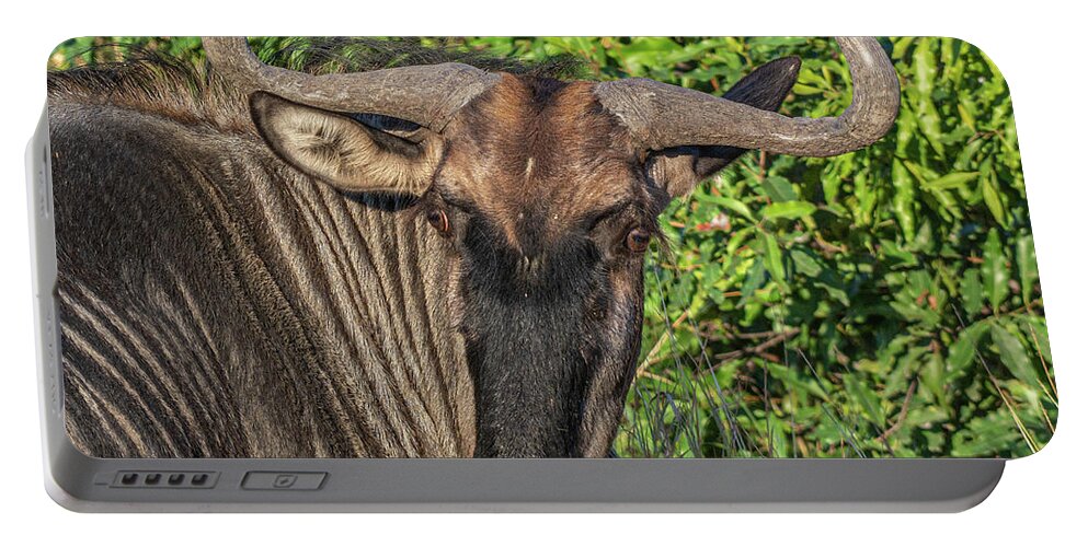 Wildebeest Portable Battery Charger featuring the photograph Whimsical Wildebeest by Douglas Wielfaert