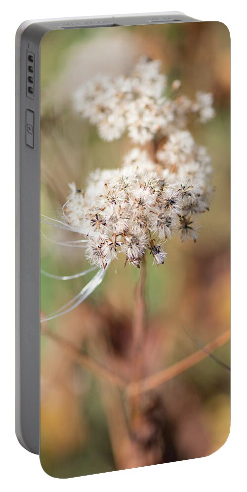 Fall Flowers Portable Battery Charger featuring the photograph Fall Flowers In the Forest #3 by Cordia Murphy