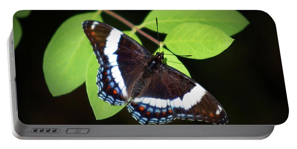 Butterfly Portable Battery Charger featuring the photograph White Admiral Butterfly by Christina Rollo