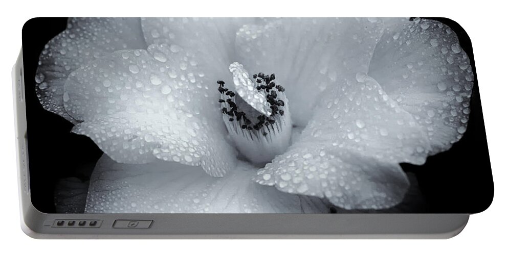 Flower Portable Battery Charger featuring the photograph White Beauty by Judi Kubes