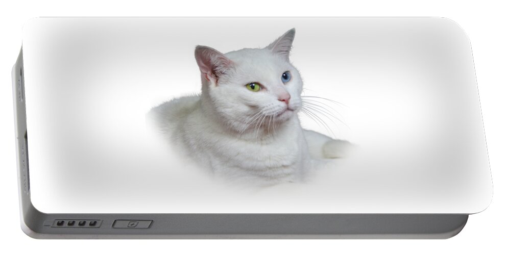 Fur Portable Battery Charger featuring the photograph White Cat on a Transparent Heart by Terri Waters