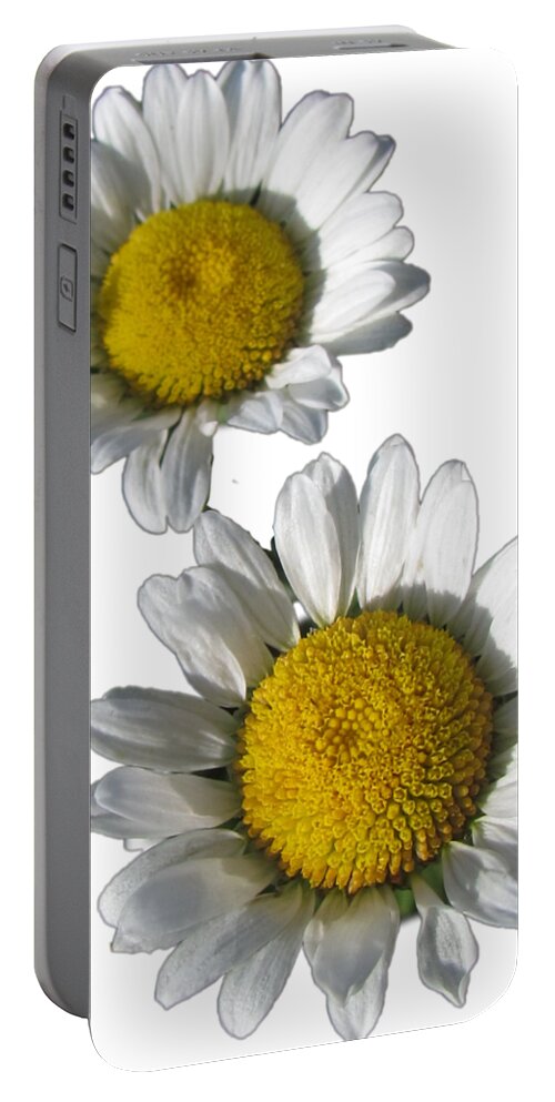 White Daisies Portable Battery Charger featuring the photograph White Daisies Flower Best for Shirts by Delynn Addams