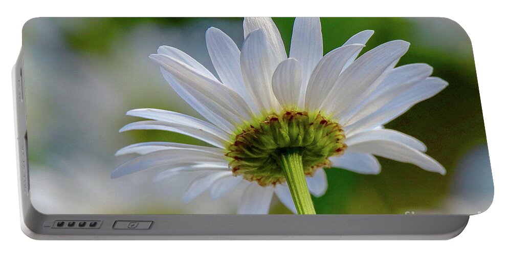 Flower Portable Battery Charger featuring the photograph Fresh As A Daisy by Susan Rydberg