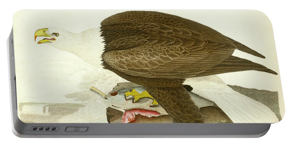 Eagle Portable Battery Charger featuring the mixed media White-headed Eagle by Alexander Wilson
