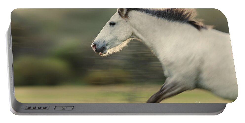 Stallion Portable Battery Charger featuring the photograph White Lightning by Shannon Hastings