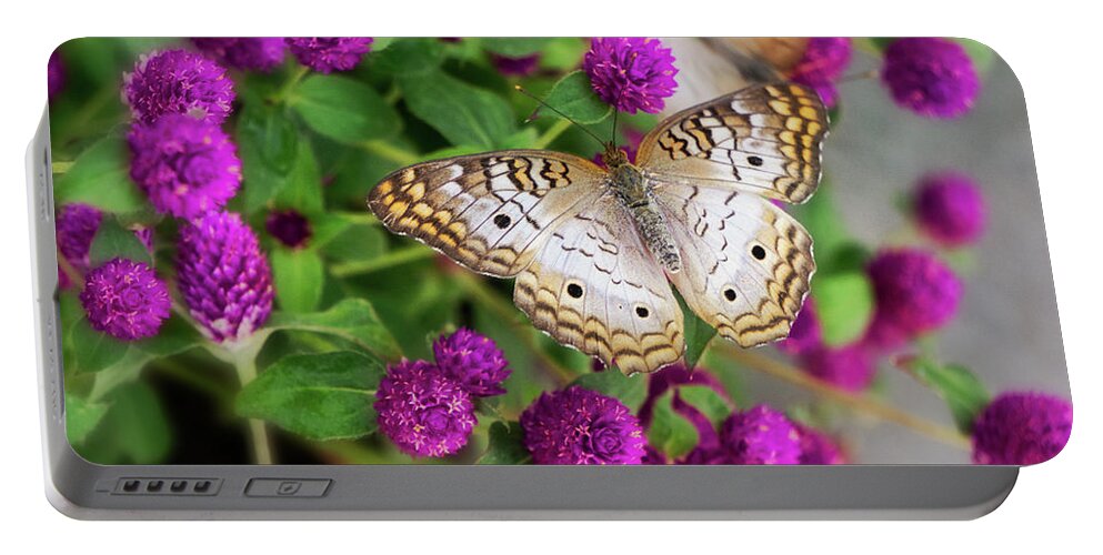 Anartia Jatrophae Portable Battery Charger featuring the photograph White Peacock Butterfly on Pink Flowers  by Saija Lehtonen
