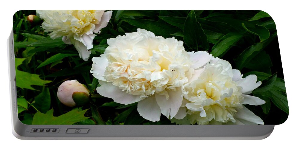 White Peonies Portable Battery Charger featuring the photograph White Peony Trio by Mike McBrayer