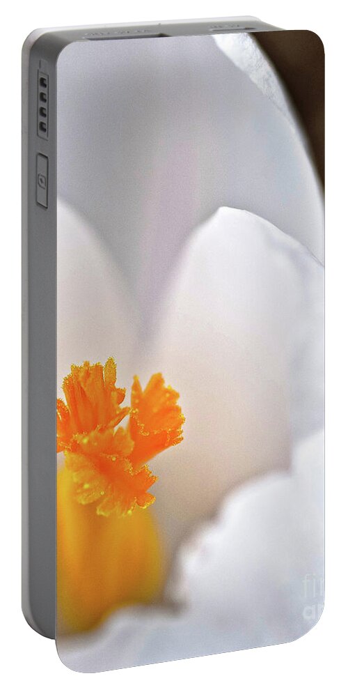 Flower Portable Battery Charger featuring the photograph White Petals by Billy Knight