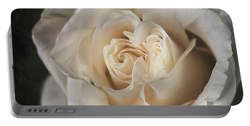 White Rose Portable Battery Charger featuring the photograph White Rose by Cindi Ressler