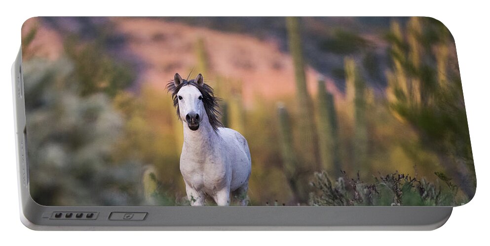 Stallion Portable Battery Charger featuring the photograph White Stallion by Shannon Hastings