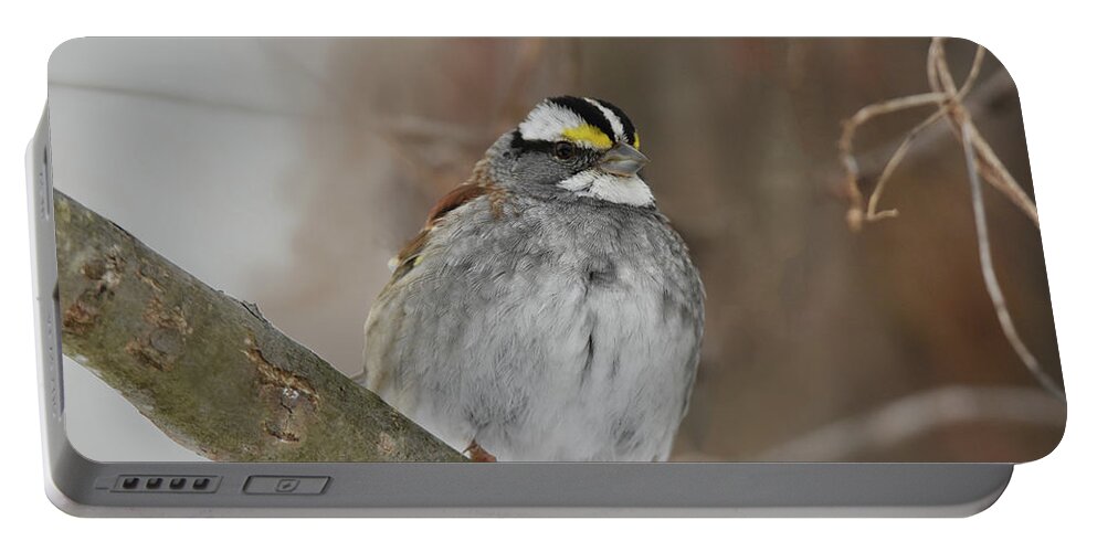Sparrow Portable Battery Charger featuring the photograph White-throated Sparrow 2 by Ann Bridges