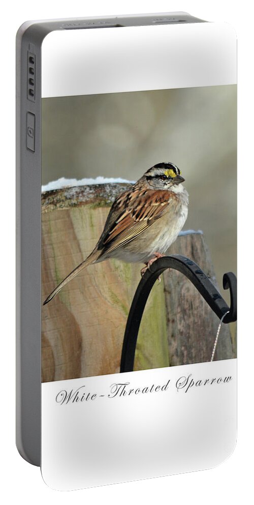 Sparrow Portable Battery Charger featuring the photograph White Throated Sparrow by Dianne Morgado