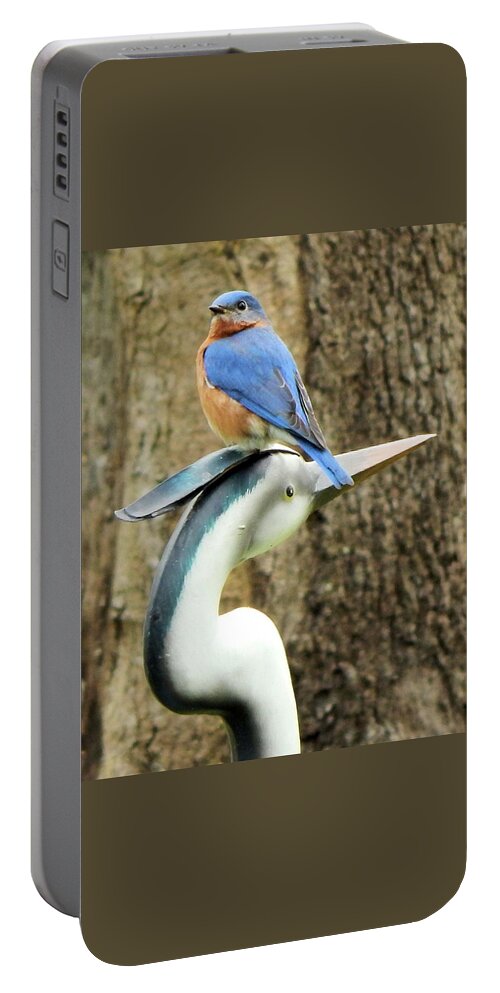Birds Portable Battery Charger featuring the photograph Who's the Boss? by Karen Stansberry