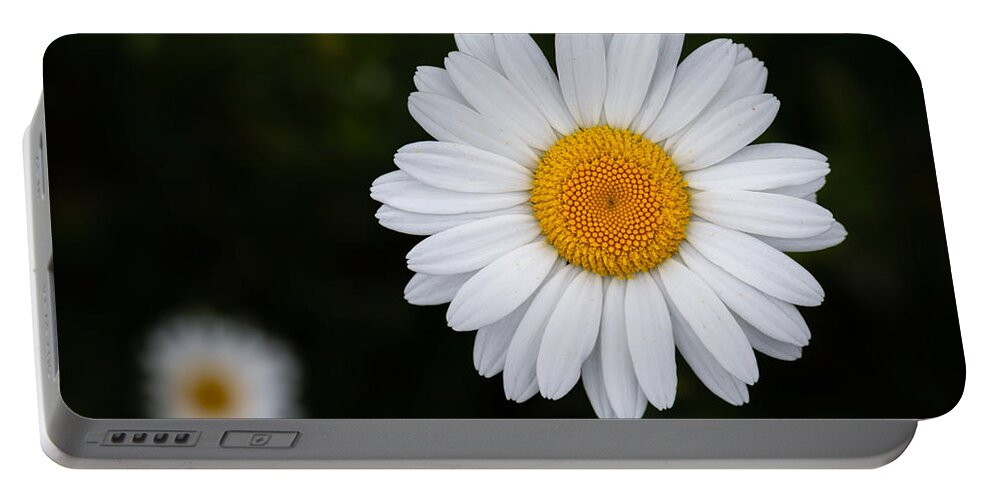 Photography Portable Battery Charger featuring the photograph Wild Daisy by Alma Danison