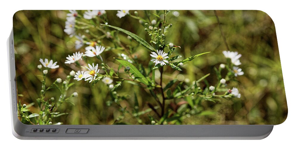 White Flower Portable Battery Charger featuring the photograph Wild Flower with Dew by Doolittle Photography and Art