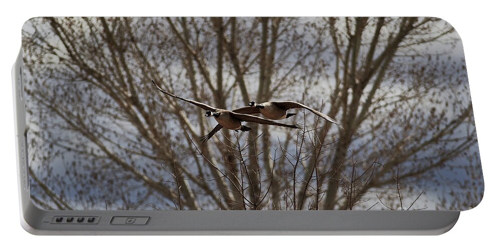Goose Portable Battery Charger featuring the photograph Wild Goose Together by Robert WK Clark