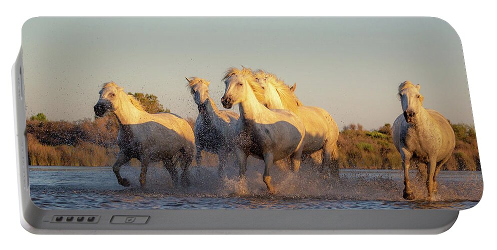 Aigues Mortes Portable Battery Charger featuring the photograph Wild Horses by Francesco Riccardo Iacomino