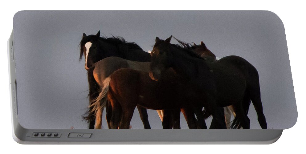 Wild Horse Portable Battery Charger featuring the photograph Wild Horses in Ute Country #3 by Jonathan Thompson