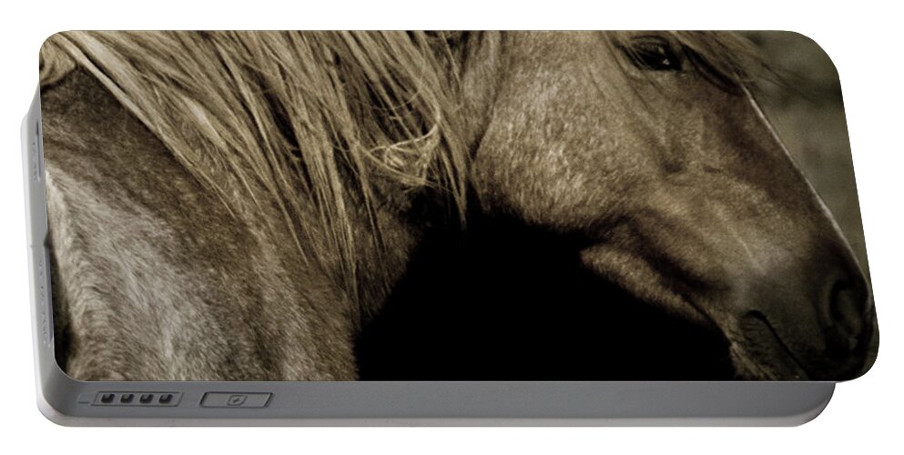 Andalusia Portable Battery Charger featuring the photograph Wild Mustangs of New Mexico 13 by Catherine Sobredo