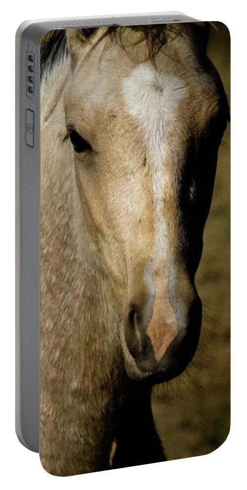 Andalusia Portable Battery Charger featuring the photograph Wild Mustangs of New Mexico 5 by Catherine Sobredo