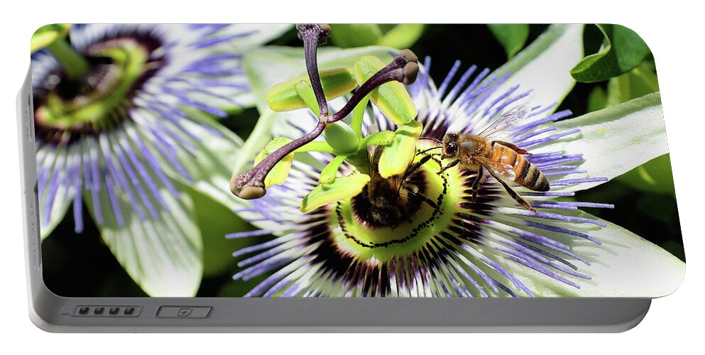 Wild Passion Flower Portable Battery Charger featuring the digital art Wild passion flower 001 by Kevin Chippindall