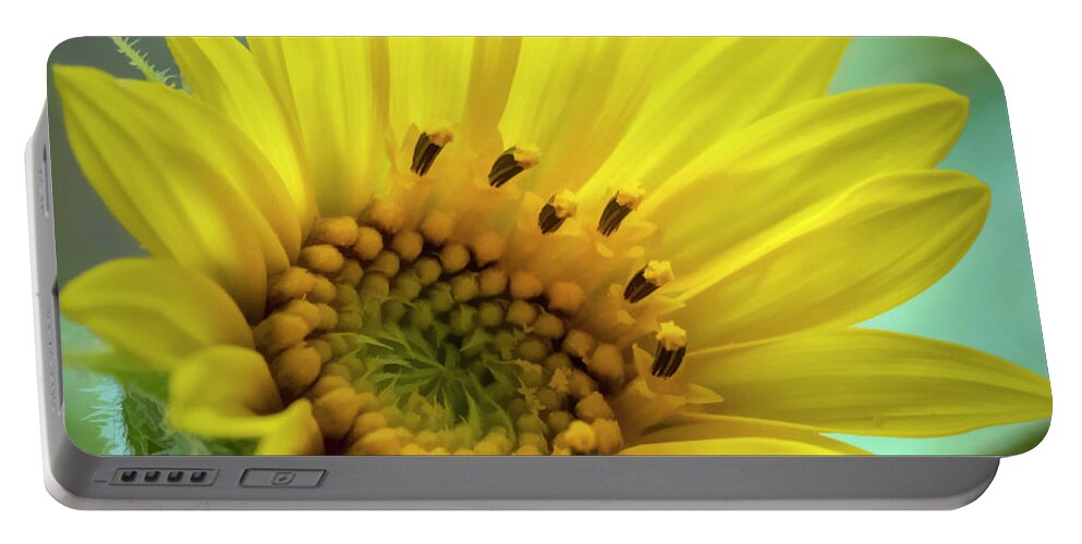Sunflower Portable Battery Charger featuring the photograph Wild Sunflower by Cathy Kovarik