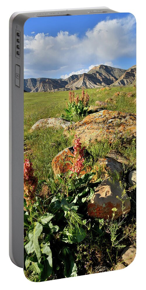 Book Cliffs Portable Battery Charger featuring the photograph Wildflower Blooms in Book Cliffs by Ray Mathis
