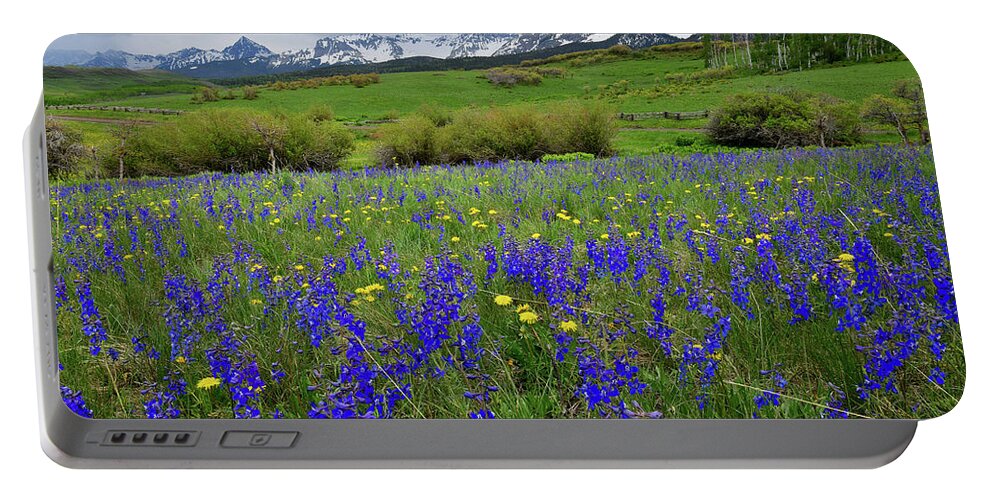 Ouray Portable Battery Charger featuring the photograph Wildflowers along Last Dollar Road by Ray Mathis