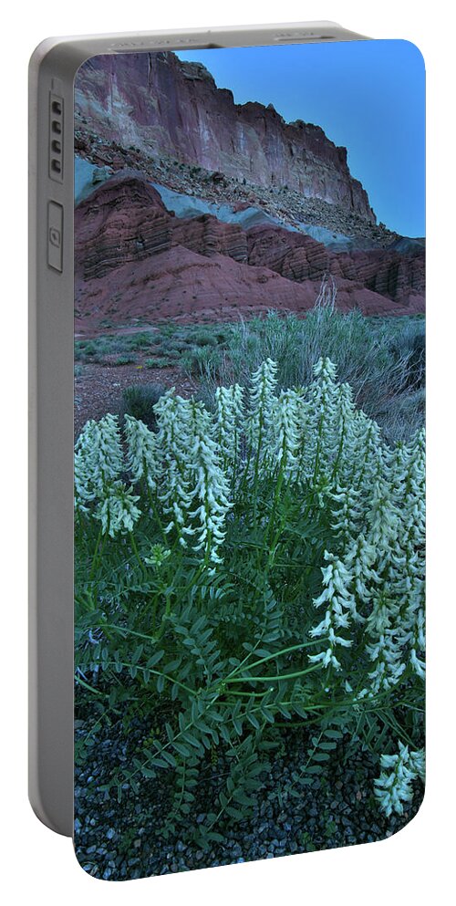 Capitol Reef National Park Portable Battery Charger featuring the photograph Wildflowers in the Dark in Capitol Reef NP by Ray Mathis