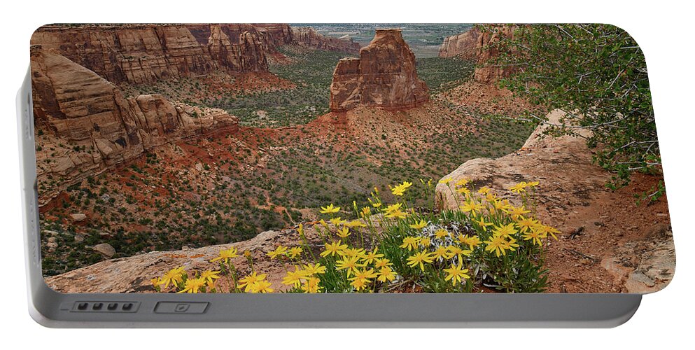 Colorado National Monument Portable Battery Charger featuring the photograph Wildflowers on Rim of Grand View Point Overlook by Ray Mathis