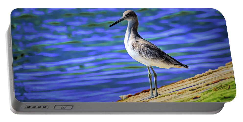 Debra Martz Portable Battery Charger featuring the photograph Willet Working the Jetties by Debra Martz
