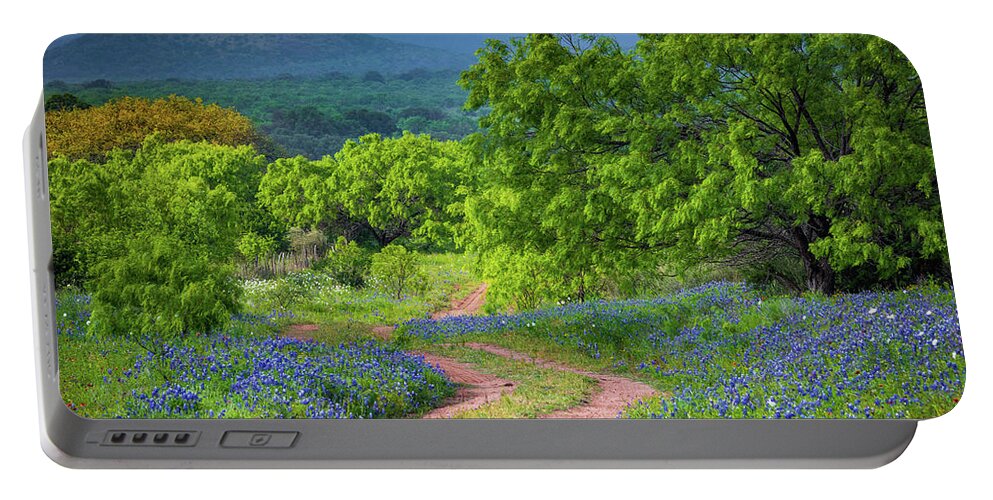 America Portable Battery Charger featuring the photograph Willow City Road 4/3 by Inge Johnsson
